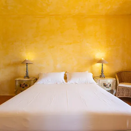 Paola 빌라시미우스